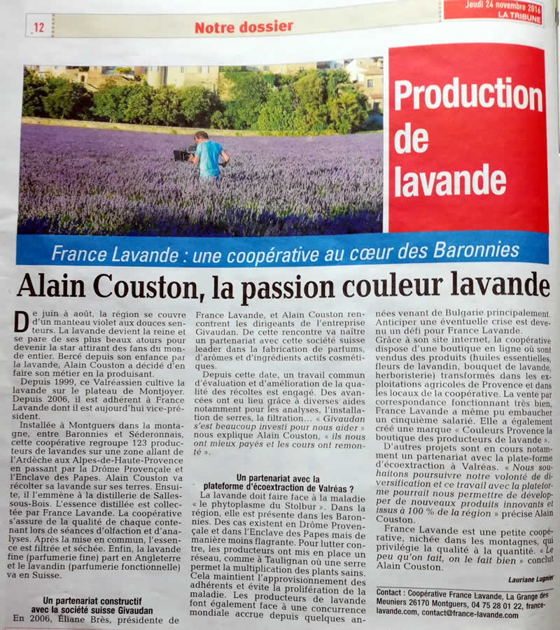 Article La Tribune