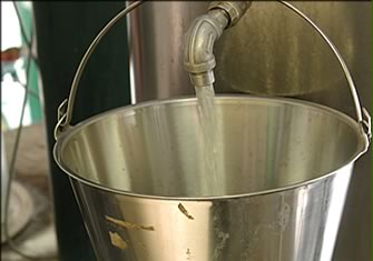 Lavande et lavandin : huiles essentielles de lavande et de lavandin. Production lavande et lavandin et huile essentielle