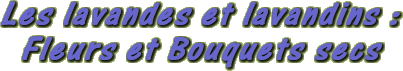 Bouquets secs et fleurs de lavande et lavandin - Production de bouquet sec et fleur de lavande et lavandin